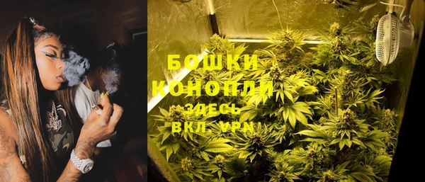 стаф Володарск