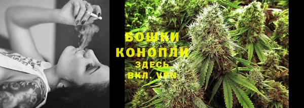 стаф Володарск
