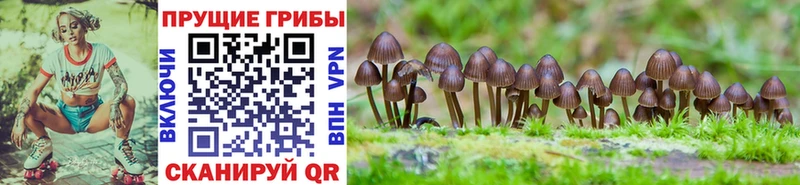 Галлюциногенные грибы ЛСД  Карабаново 